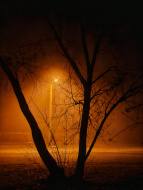 Noční snímek v mlze