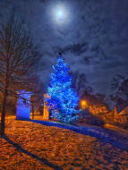 Vánoční strom 🌲 na vesnicí